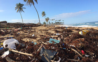 Plastics on a beach. Credits Dustin Woodhouse on Unsplash