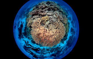 Cover image of Second World Ocean Assessment