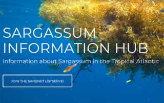 Sargassum Information Hub website