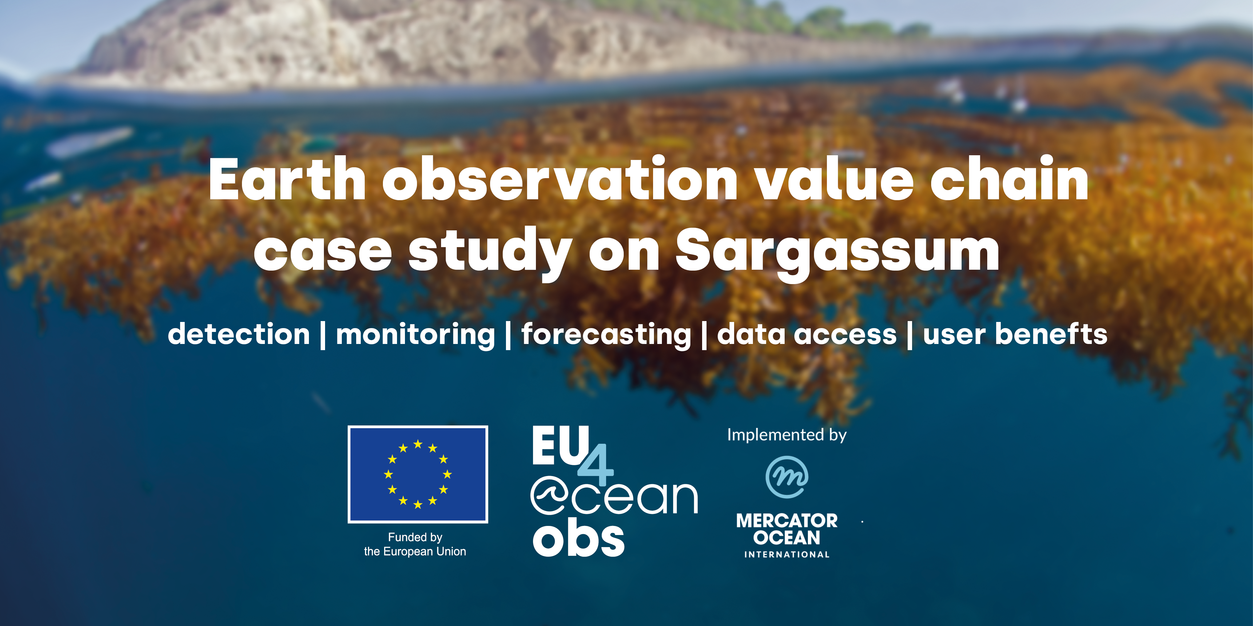 CaseStudySargassum_visual