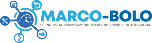 MARCO-BOLO_logo_col