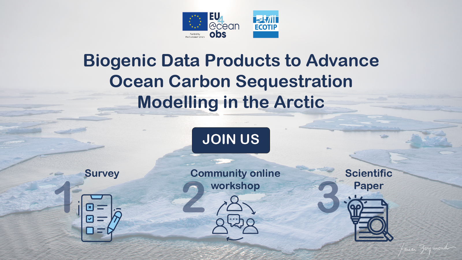 EU4oceanObs ECOTIP Survey