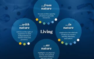 From art to climate regulation; the many benefits of plankton