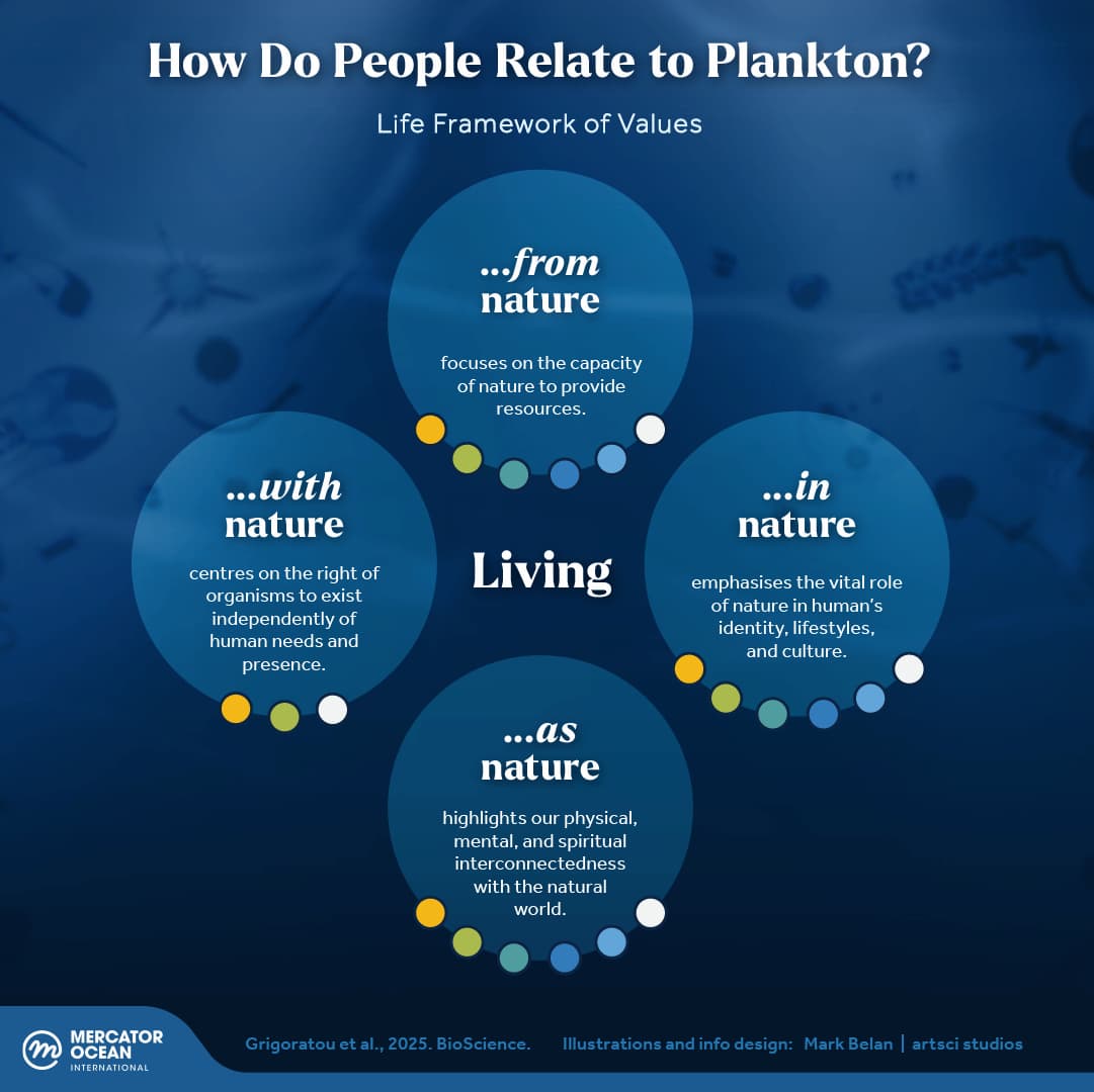 From art to climate regulation; the many benefits of plankton